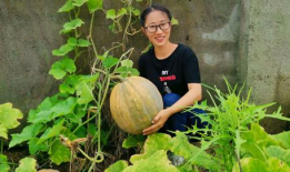 农村吃瓜爆料图片大全集,趣味瞬间大盘点