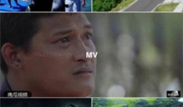 吃瓜南瓜被爆料视频大全,娱乐圈幕后真相全曝光